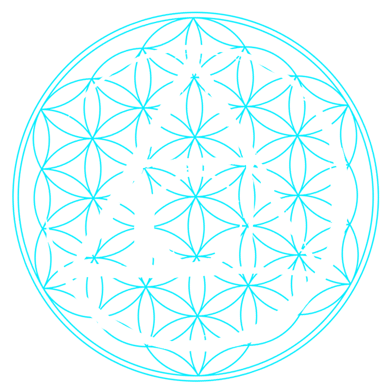 The Authenticity Collective